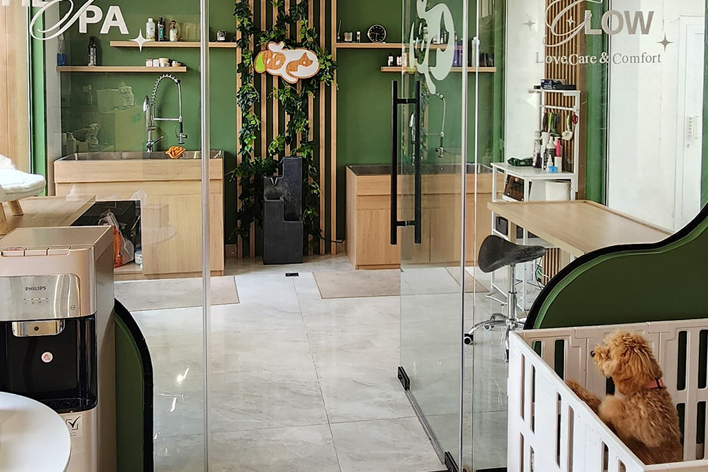 petland-hero-banner