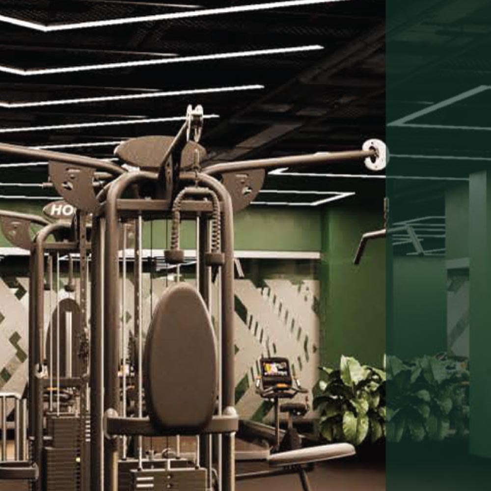 elevate-gym